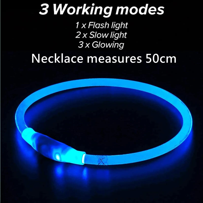USB Rechargeable LED Dog Collar - Safety and Style Combined