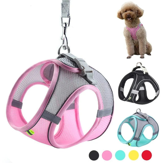 Reflective Adjustable Dog Harness Leash Set for Small Dogs
